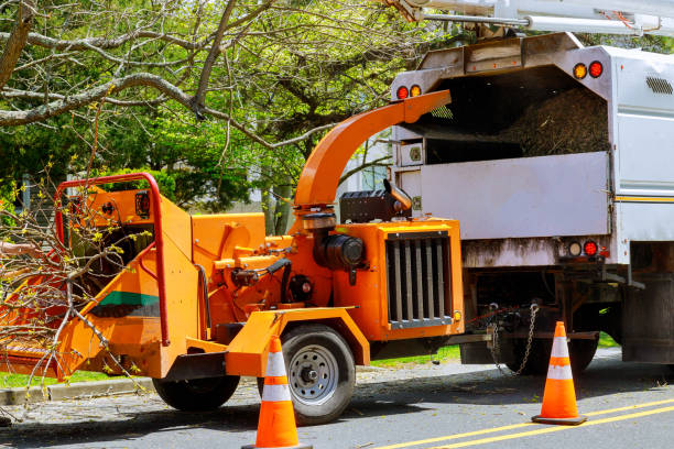 Best Mulching Services  in Parowan, UT